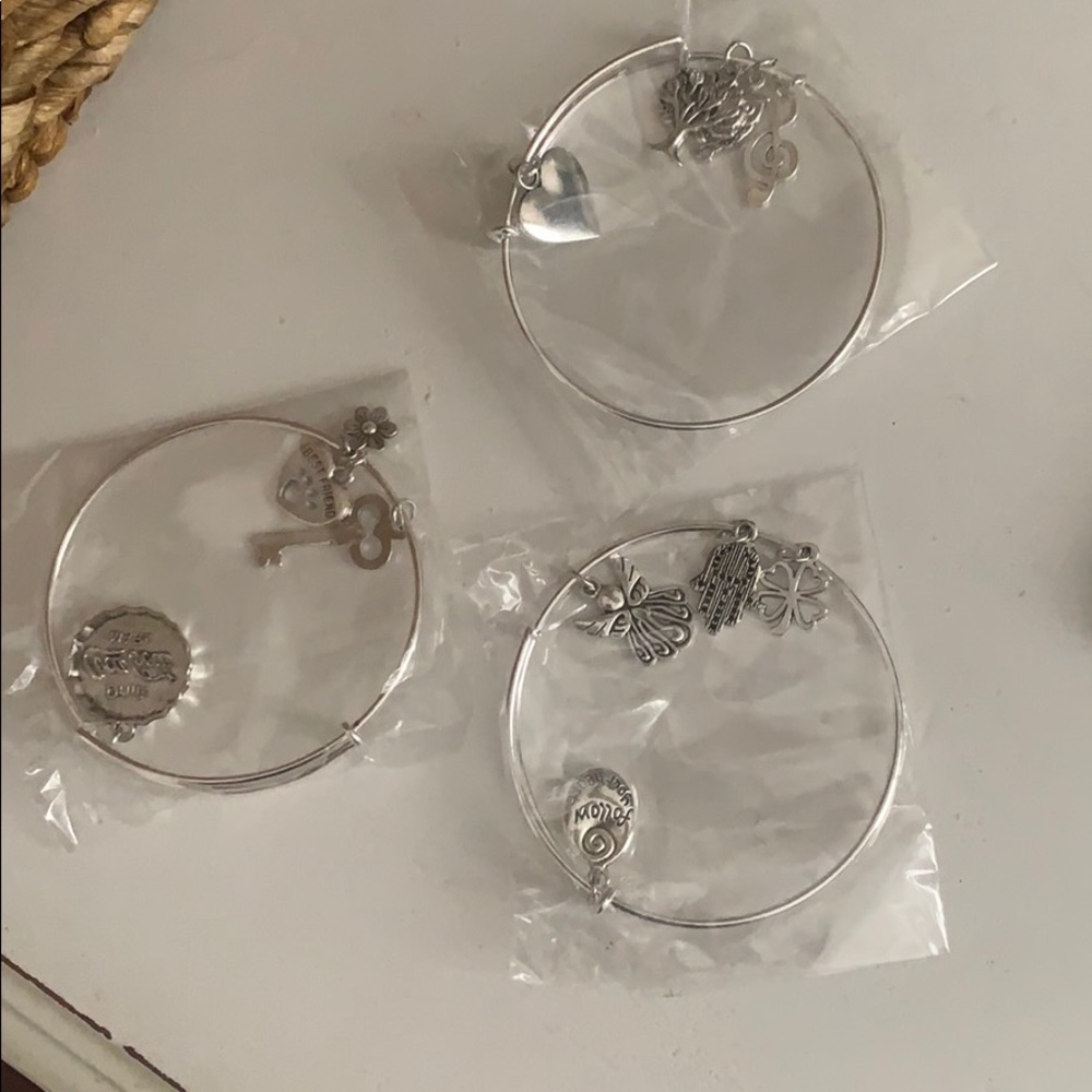 Charm bracelet(all 3)